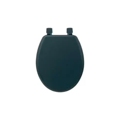 Abattant WC pétrole - 138005P