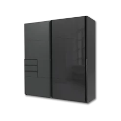 Armoire 2 portes Schwerin graphite/verre noir