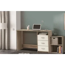 Bureau Aristote chêne shannon