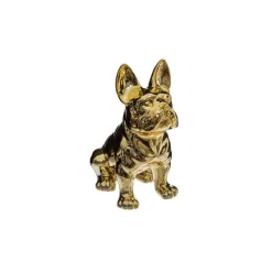 Chien Eden doré