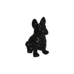 Chien EDEN noir