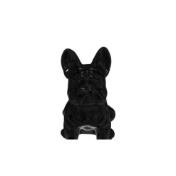 Chien EDEN noir