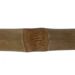 Echelle 157098 bambou