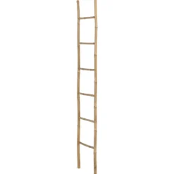 Echelle 157098 bambou