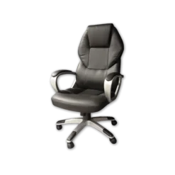Fauteuil de bureau Holton noir