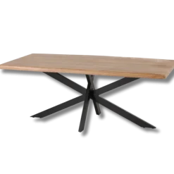 G06494 - table Arya 240 cm