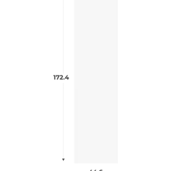 Porte simple Casa H174 - L 45 cm