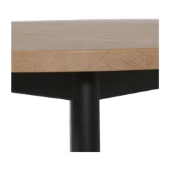 Table basic 100 EP79 HA84