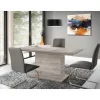 Table extensible 160 - 200 cm BACCIO EST42-D41