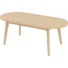 Table Ovale Rondi 170 cm