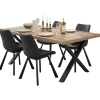 Table Owen 230x100 cm pied X TF1915