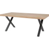 Table Tim 200x100 cm pied X TF1915