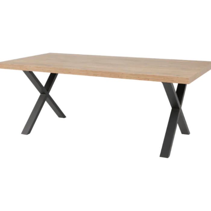 Table Tim 200x100 cm pied X TF1915