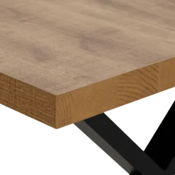 Table Tim 200x100 cm pied X TF1915
