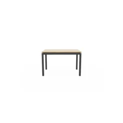 Table Vicenza 1285 EP79 HA 84 HT75