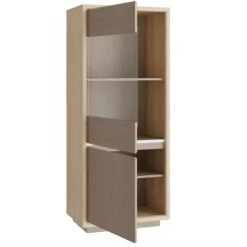 Vitrine 1 porte Ficar
