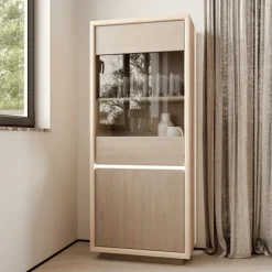 Vitrine 1 porte Ficar